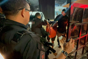 Sem nome 1200 x 675 px 1200 x 675 px 2